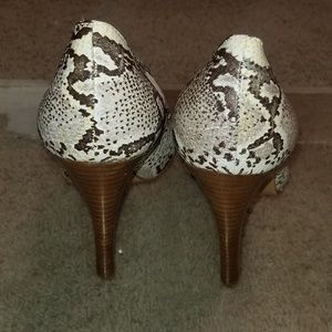 Colin stuart heels